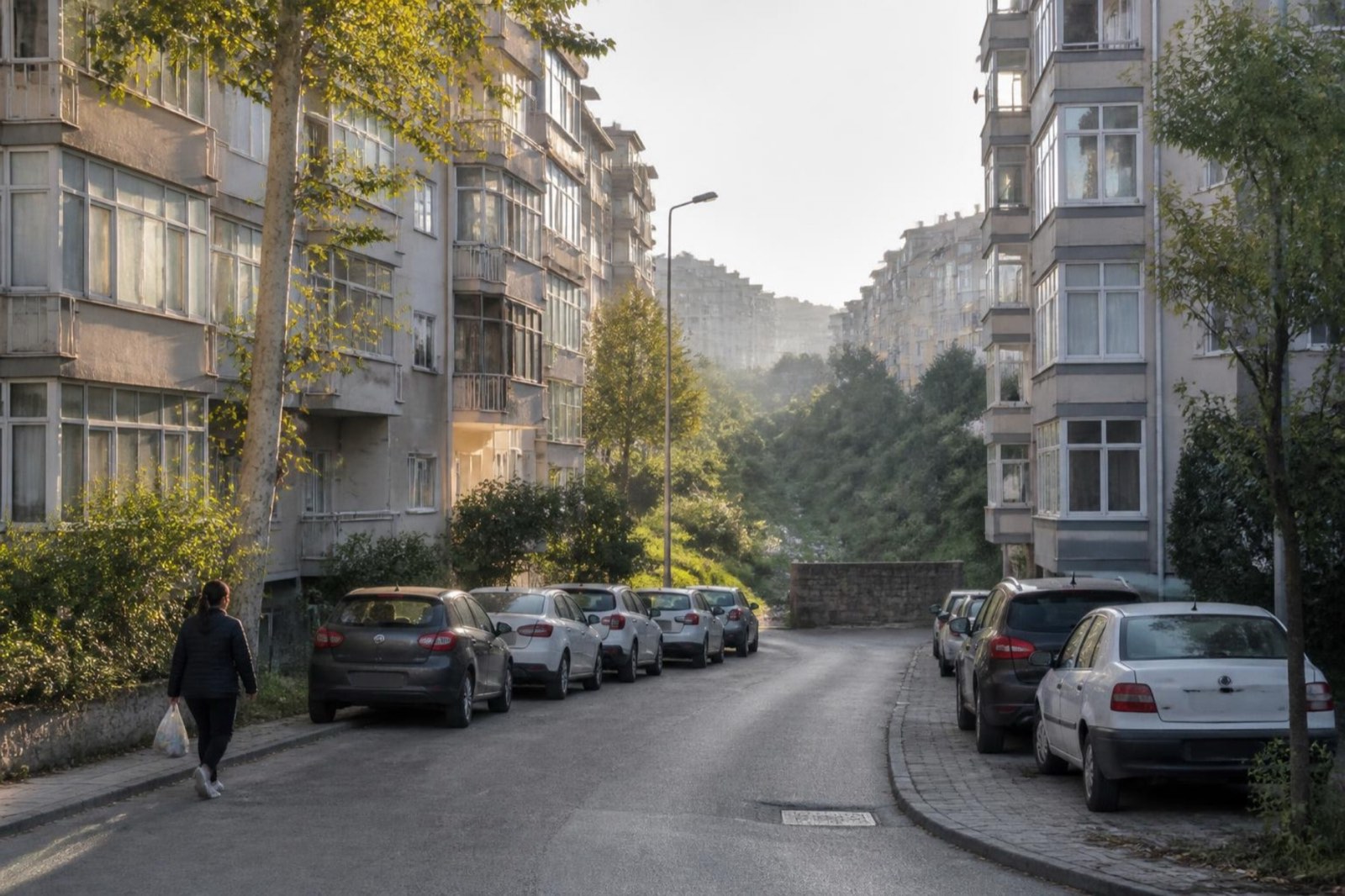 A quiet residential side street in morning light, lined with eight-storey apartment blocks with enclosed balconies and a few trees